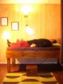/album/fotogaleria/mamali-jpg/