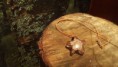 /album/fotogaleria-orgonitos/a532328-2844436874404-1363842846-2164335-1757187718-n-jpg/